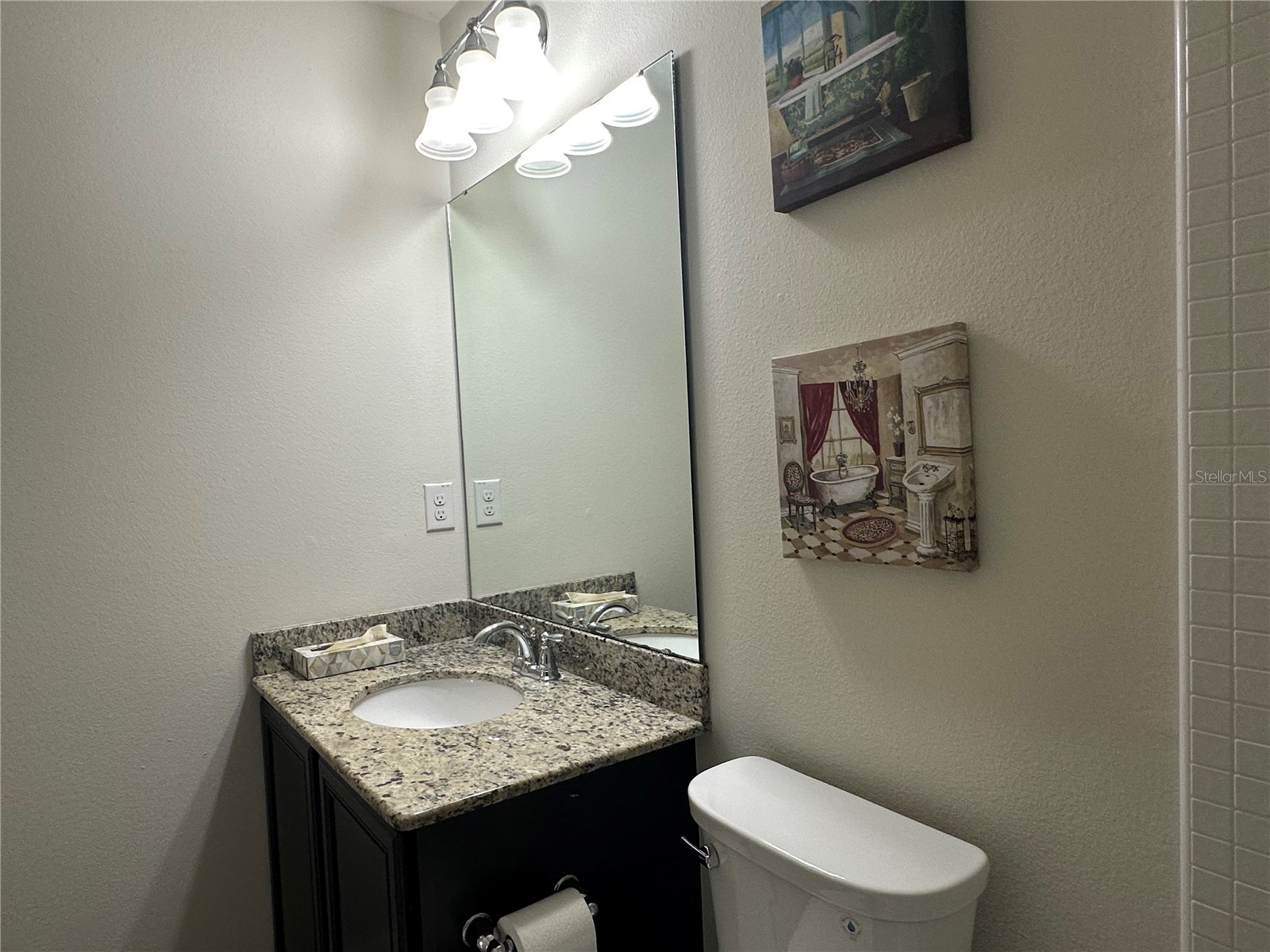 4515 Savannah Holly Place Riverview FL 33578 TB8516873 image30