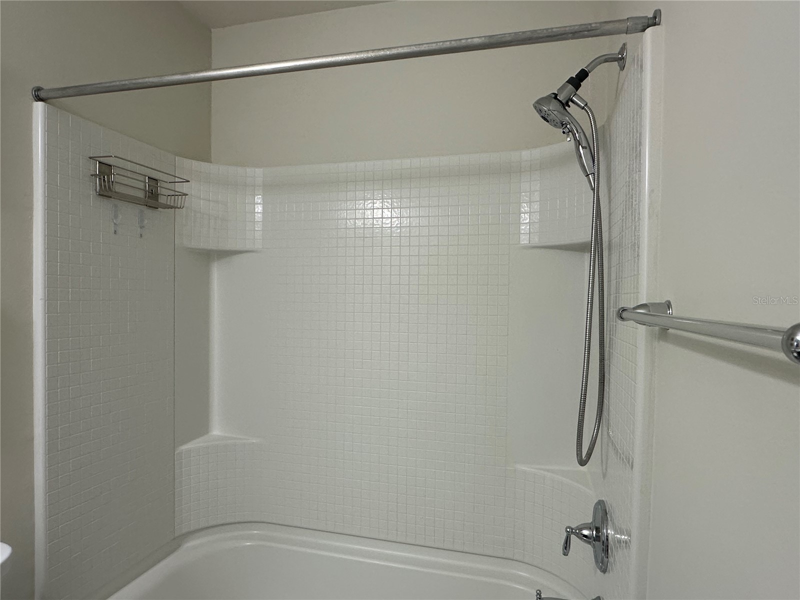 4515 Savannah Holly Place Riverview FL 33578 TB8516873 image31