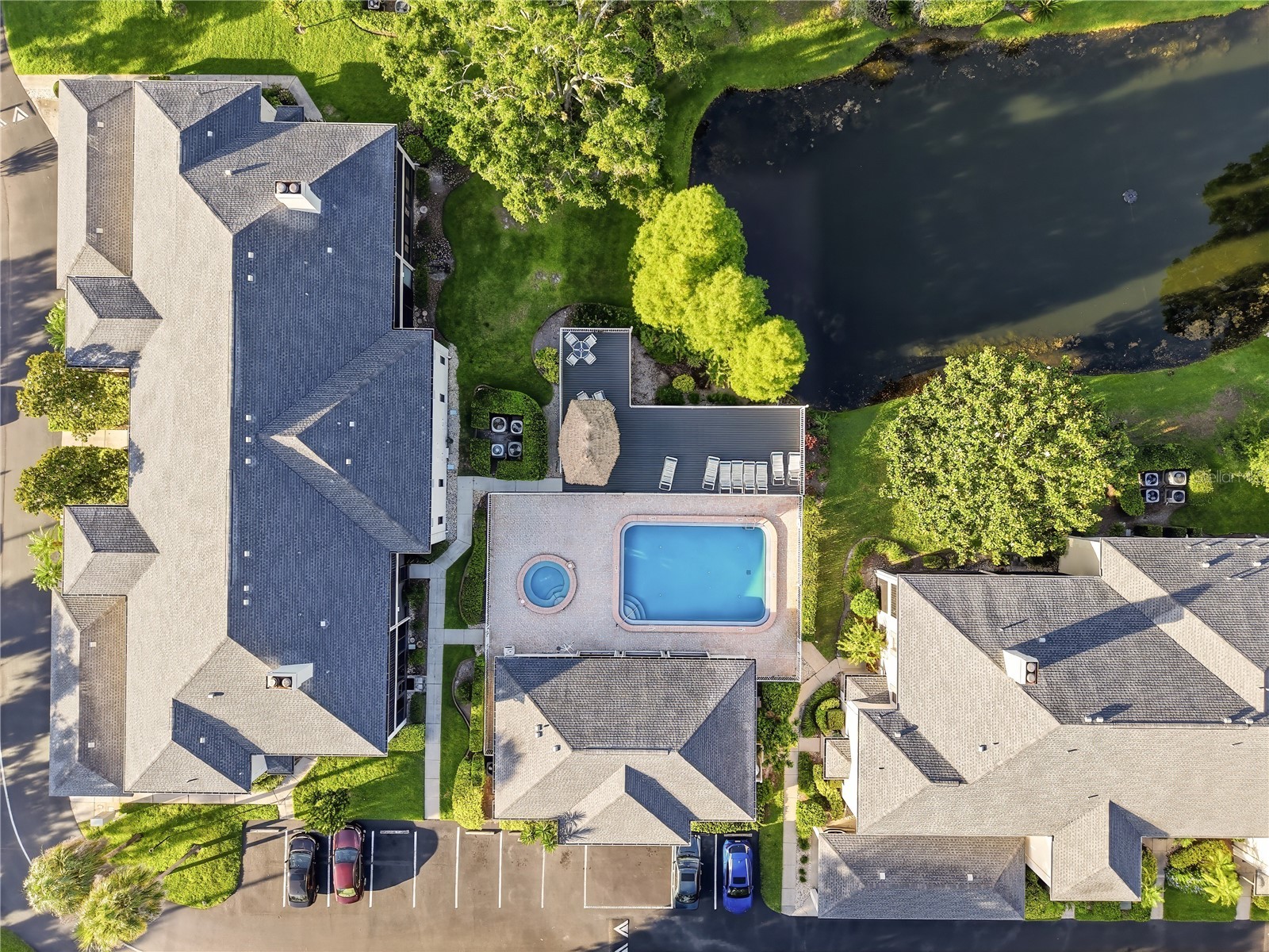 4515 Southampton Court #4515 Tampa FL 33618 TB8508712 image28