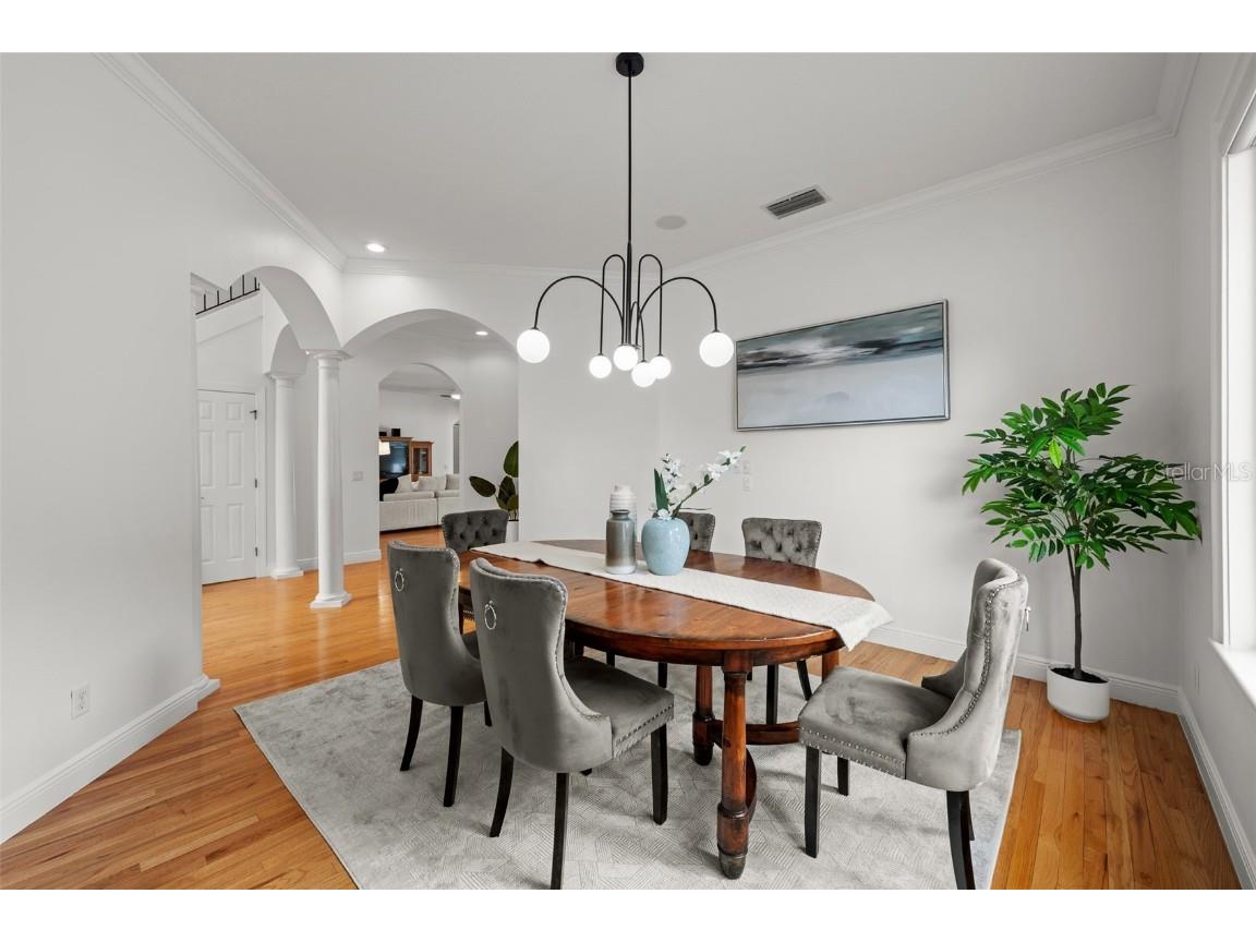 4515 W Leona Street Tampa FL 33629 TB8386606 image18