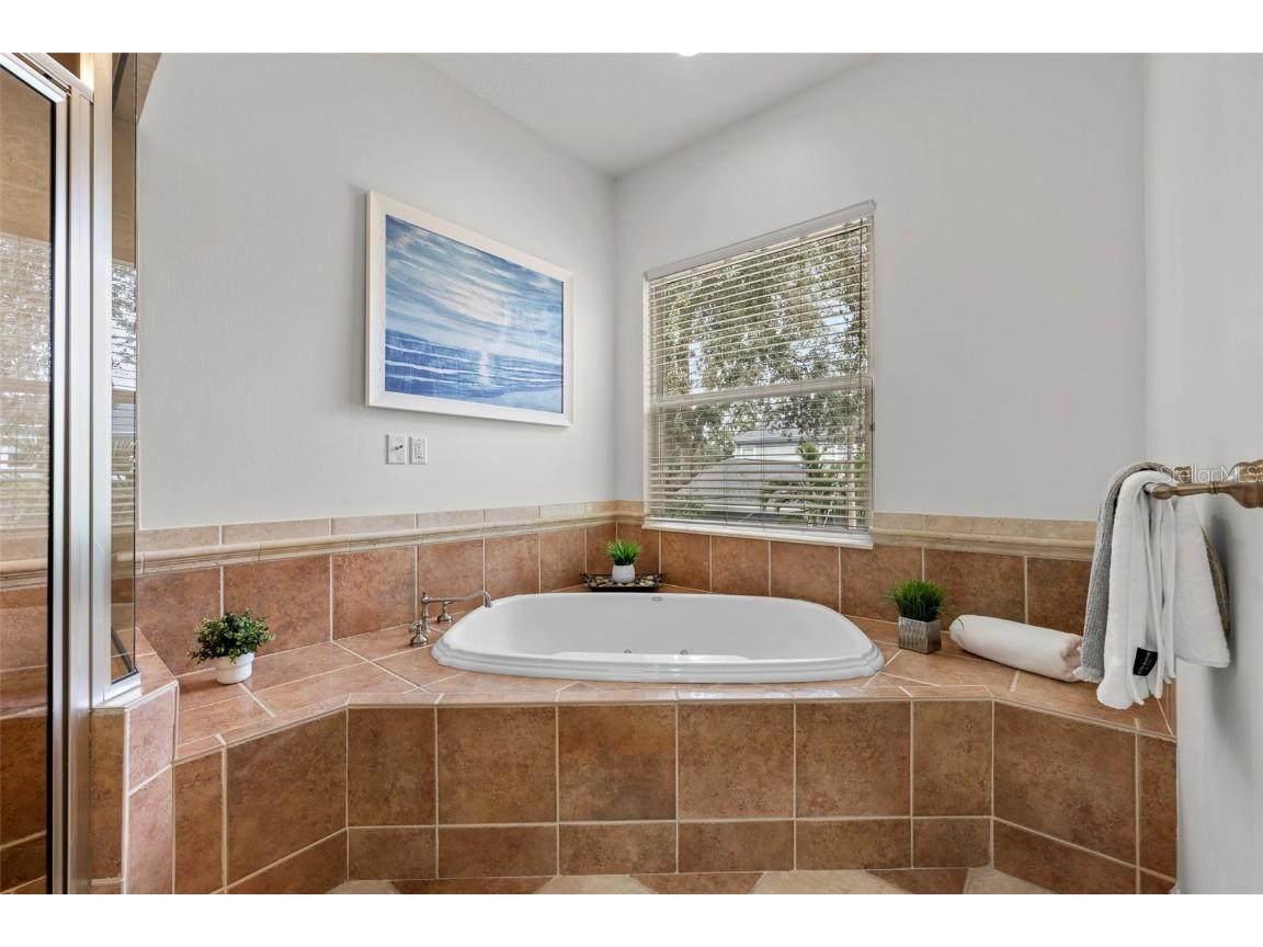 4515 W Leona Street Tampa FL 33629 TB8386606 image22