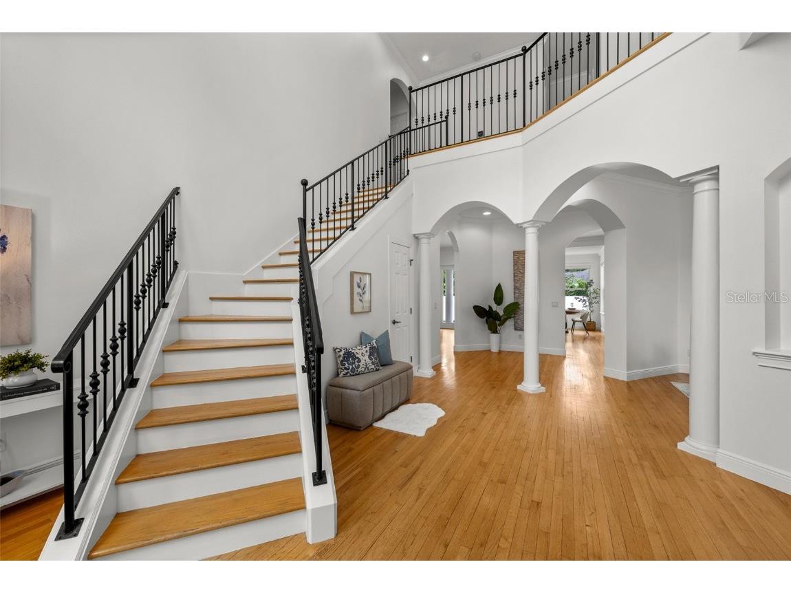 4515 W Leona Street Tampa FL 33629 TB8386606 image4