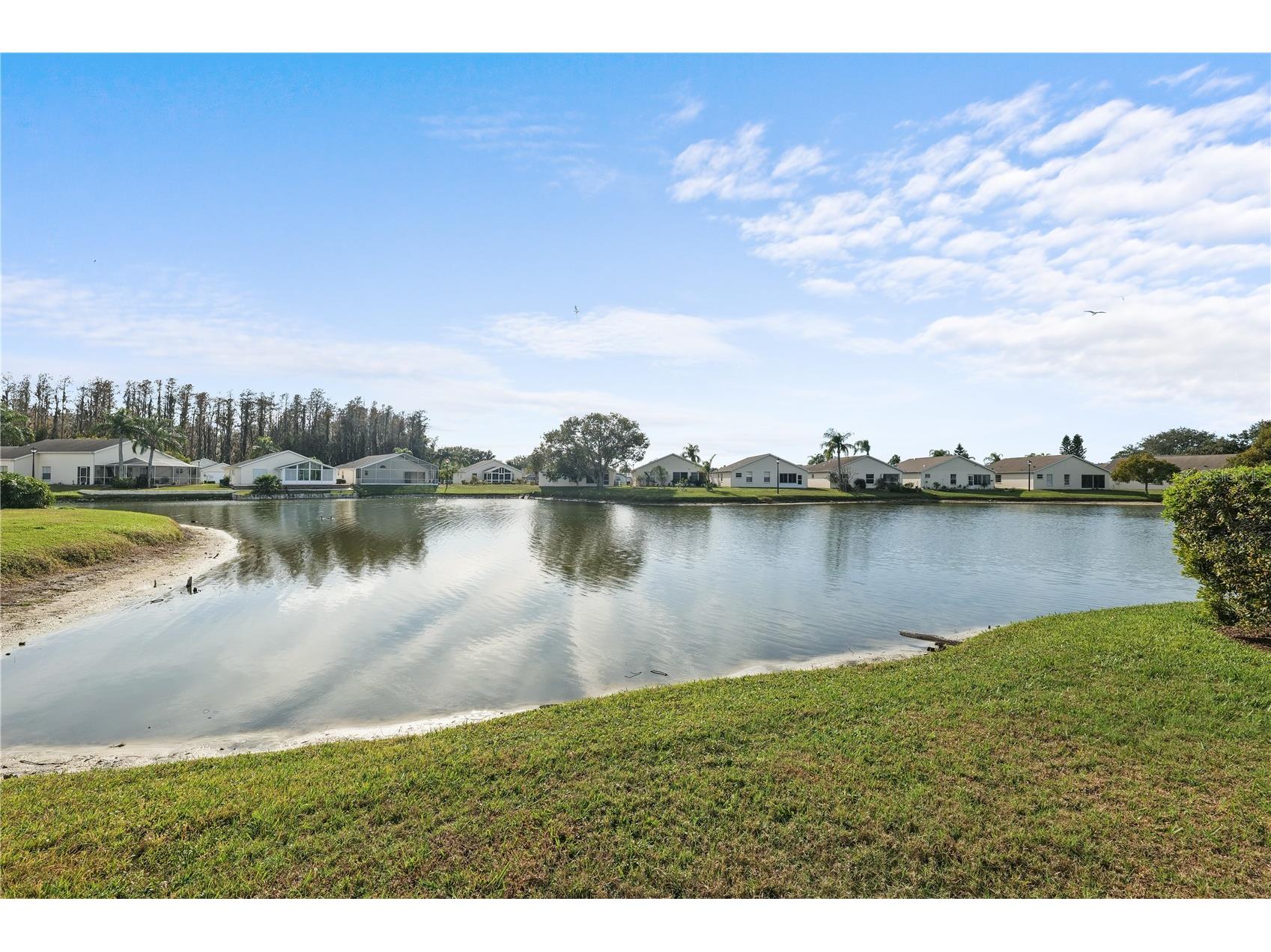 4515 Whitton Way #117 New Port Richey FL 34653 W7882063 image26