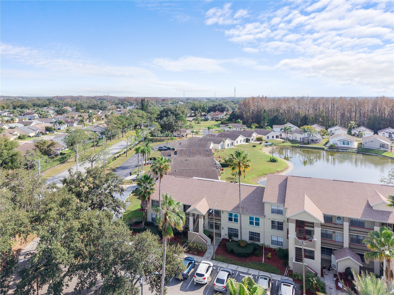 4515 Whitton Way #117 New Port Richey FL 34653 W7882063 image27