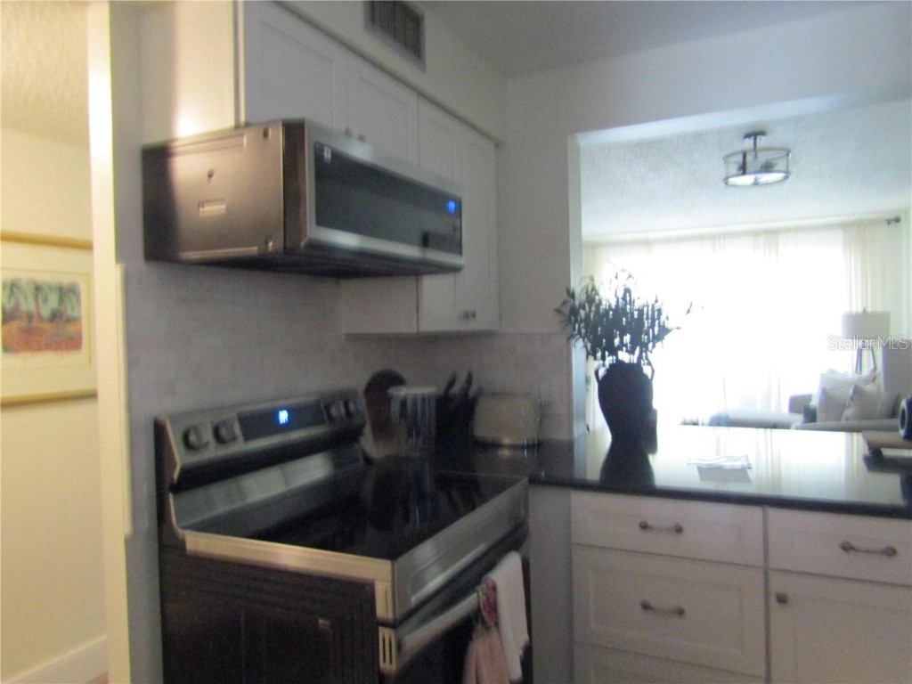 4516 Longwater #29 Sarasota FL 34235 A4651087 image6