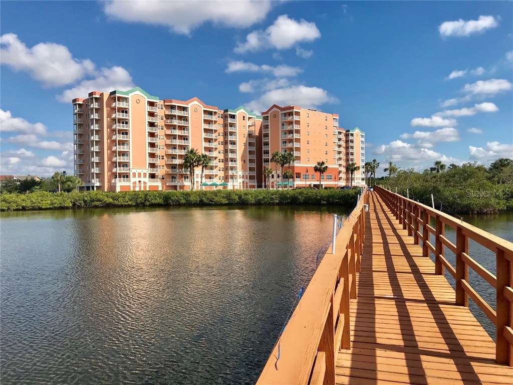 4516 Seagull Drive #214 New Port Richey FL 34652 U8218965 image1