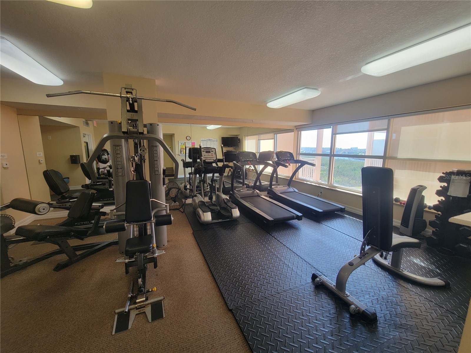 4516 Seagull Drive #313 New Port Richey FL 34652 W7883272 image52