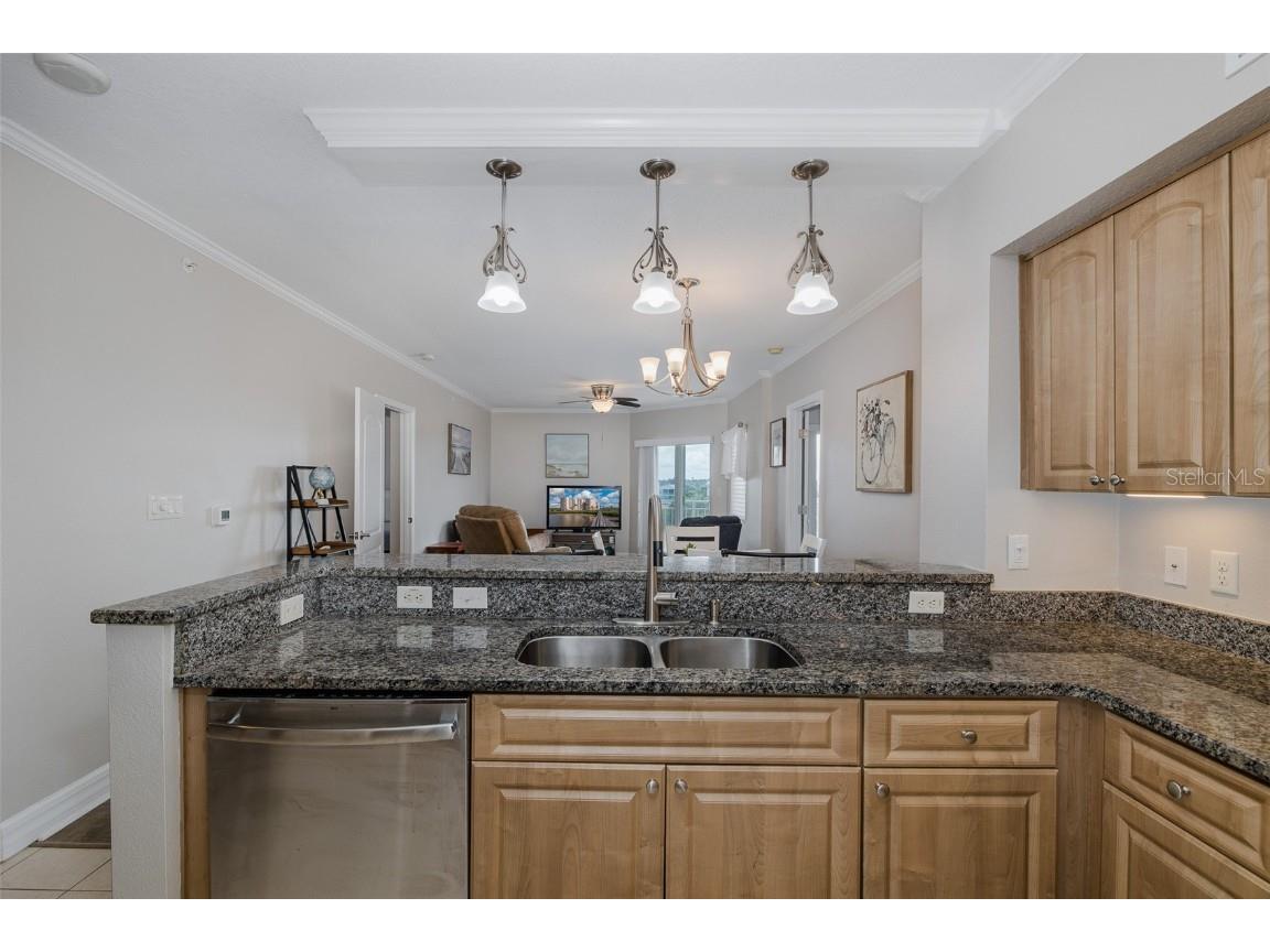 4516 Seagull Drive #411 New Port Richey FL 34652 - GULF OF AMERICA TB8433475 image10