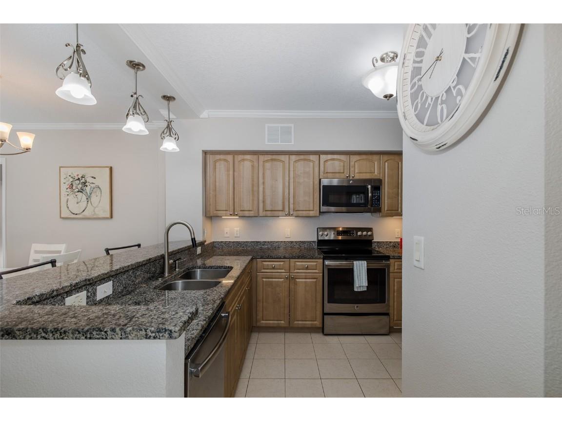 4516 Seagull Drive #411 New Port Richey FL 34652 - GULF OF AMERICA TB8433475 image12