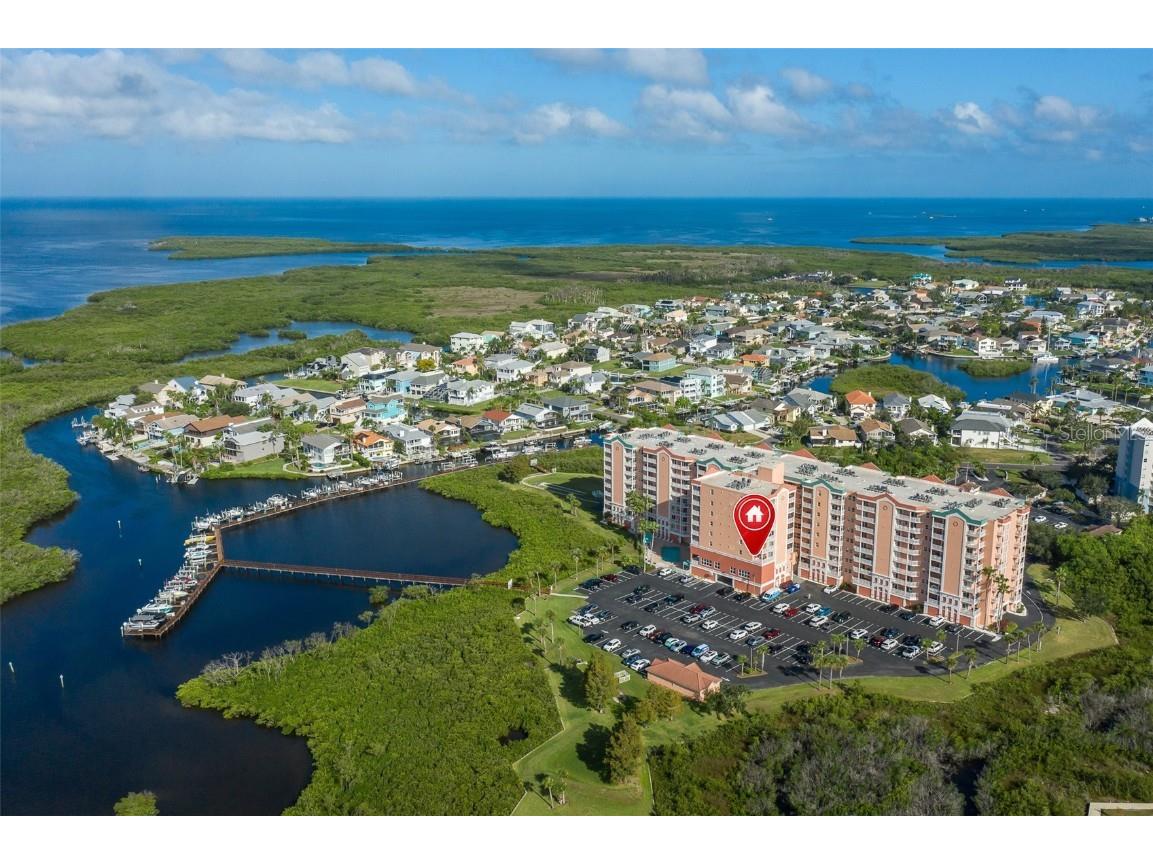 4516 Seagull Drive #411 New Port Richey FL 34652 - GULF OF AMERICA TB8433475 image3