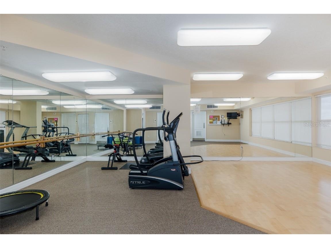 4516 Seagull Drive #411 New Port Richey FL 34652 - GULF OF AMERICA TB8433475 image34