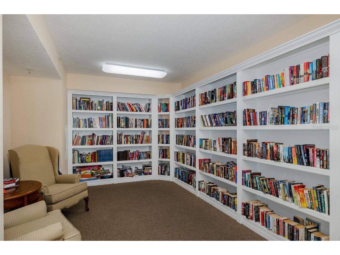 4516 Seagull Drive #411 New Port Richey FL 34652 - GULF OF AMERICA TB8433475 image40