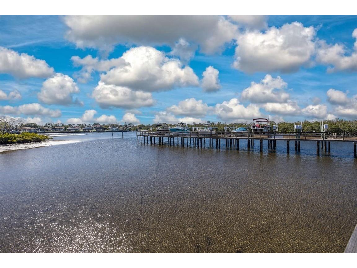 4516 Seagull Drive #411 New Port Richey FL 34652 - GULF OF AMERICA TB8433475 image41