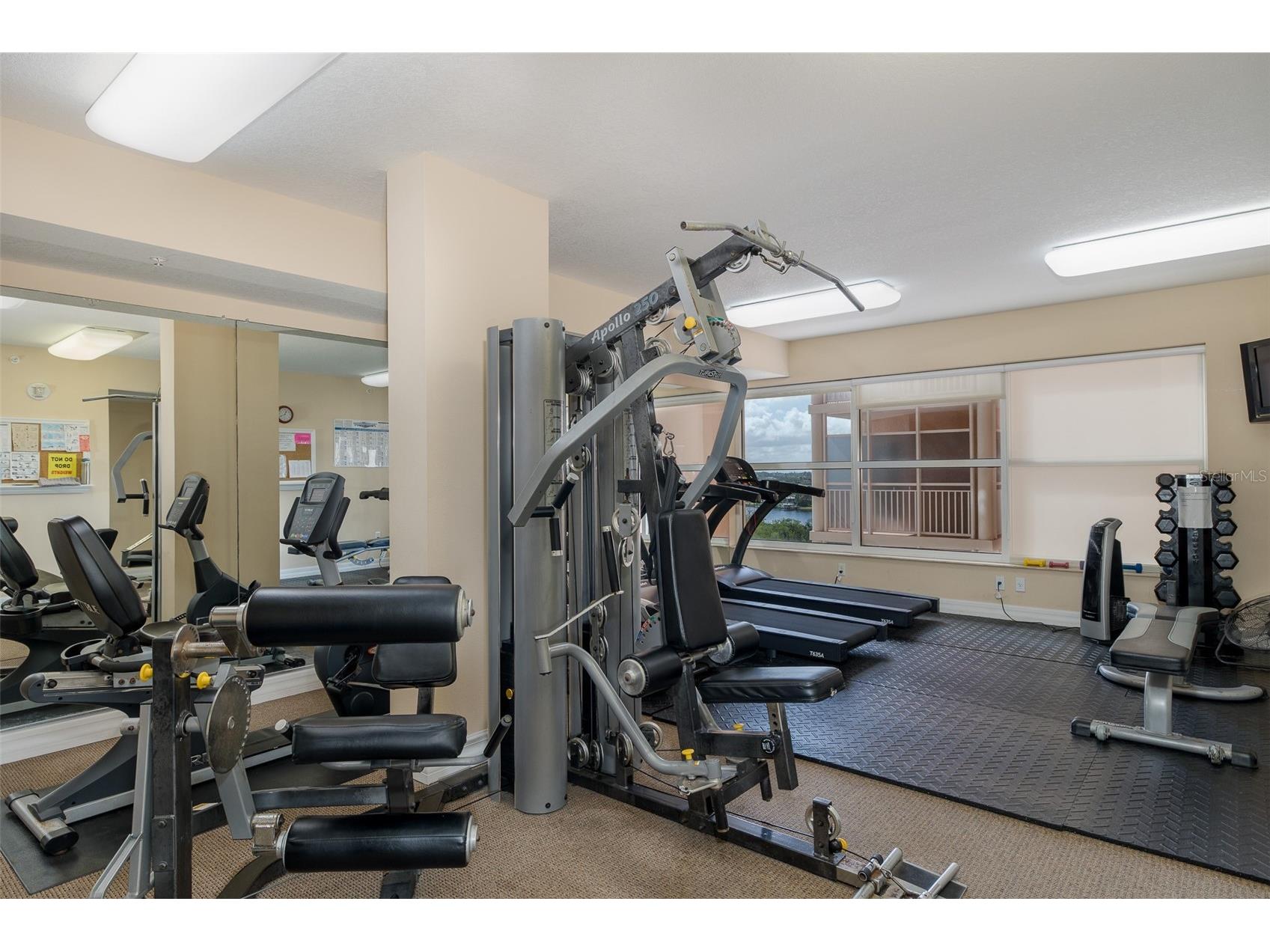 4516 Seagull Drive #411 New Port Richey FL 34652 - GULF OF AMERICA TB8433475 image47