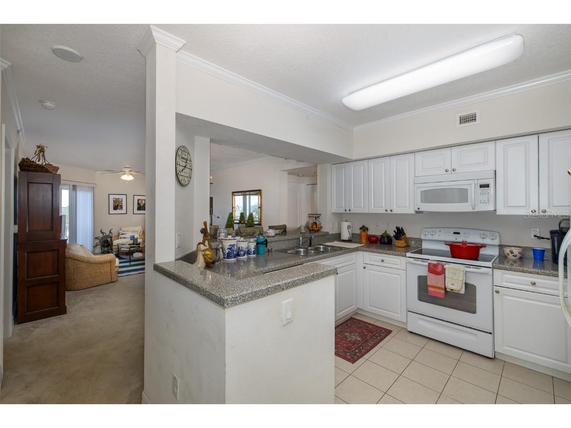 4516 Seagull Drive #413 New Port Richey FL 34652 W7879106 image8