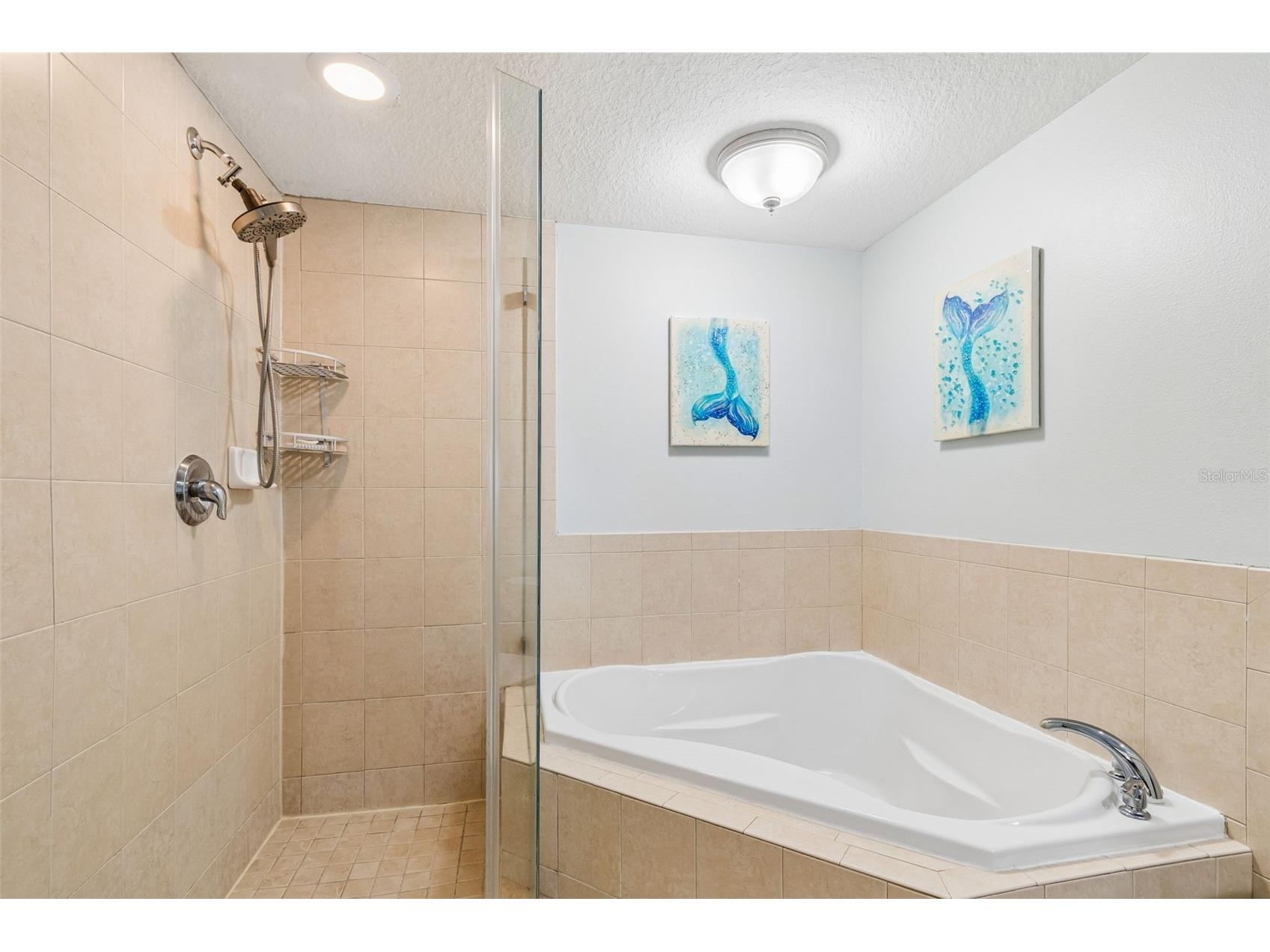 4516 Seagull Drive #416 New Port Richey FL 34652 W7886531 image17