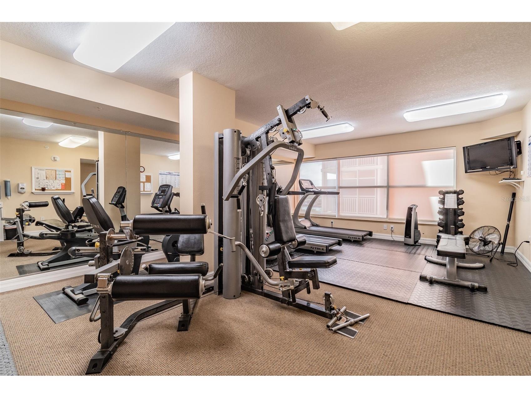 4516 Seagull Drive #416 New Port Richey FL 34652 W7886531 image32