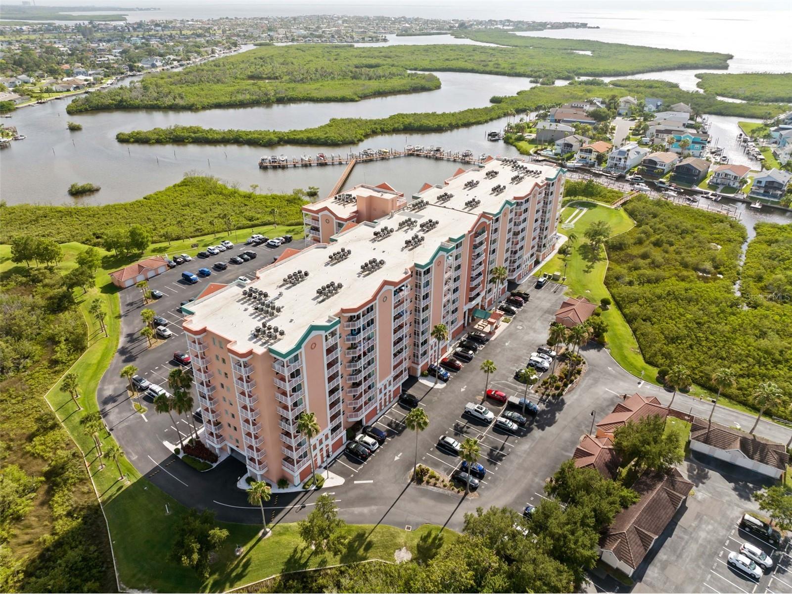 4516 Seagull Drive #419 New Port Richey FL 34652 TB8516458 image18