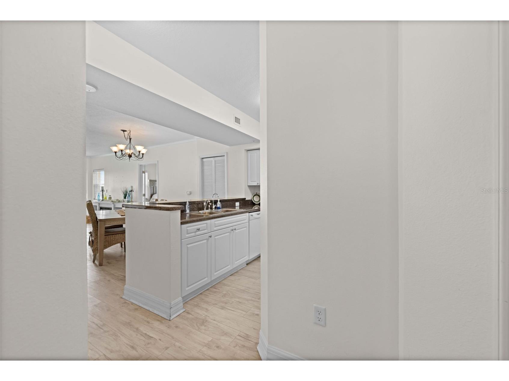 4516 Seagull Drive #419 New Port Richey FL 34652 TB8516458 image19