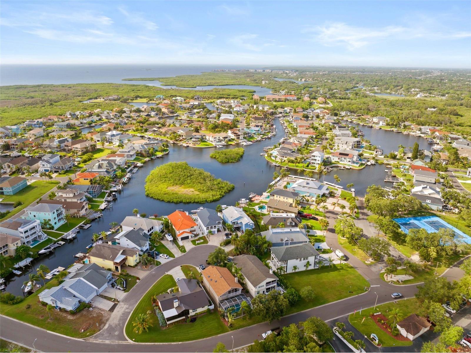 4516 Seagull Drive #419 New Port Richey FL 34652 TB8516458 image2