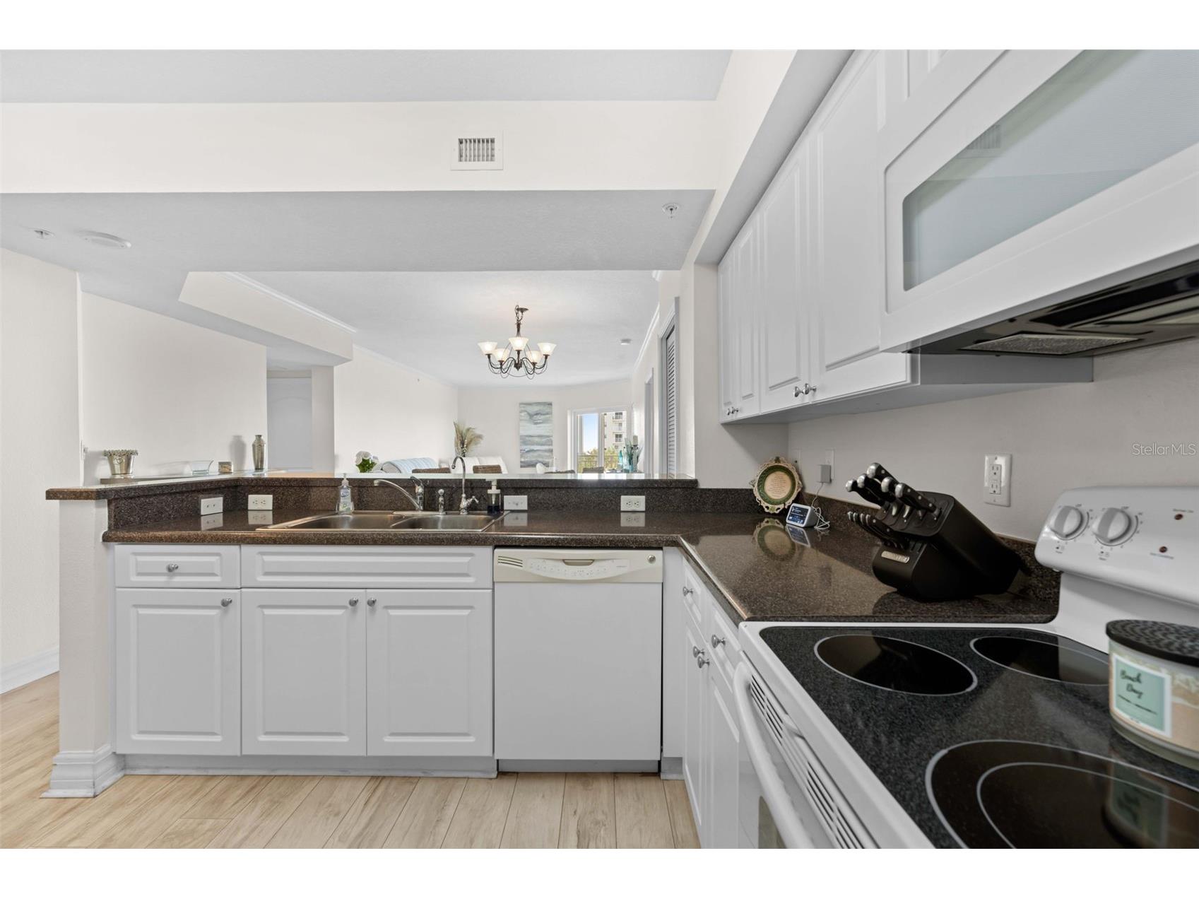 4516 Seagull Drive #419 New Port Richey FL 34652 TB8516458 image23