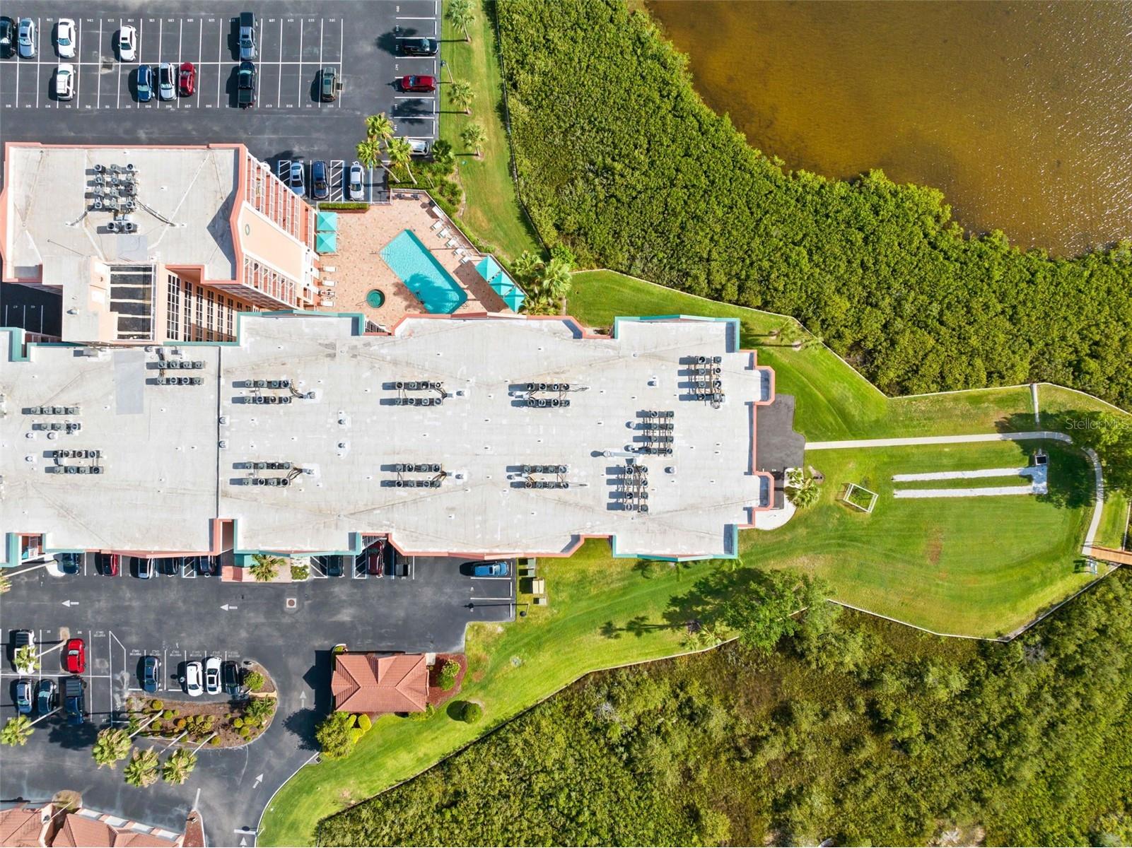 4516 Seagull Drive #419 New Port Richey FL 34652 TB8516458 image27