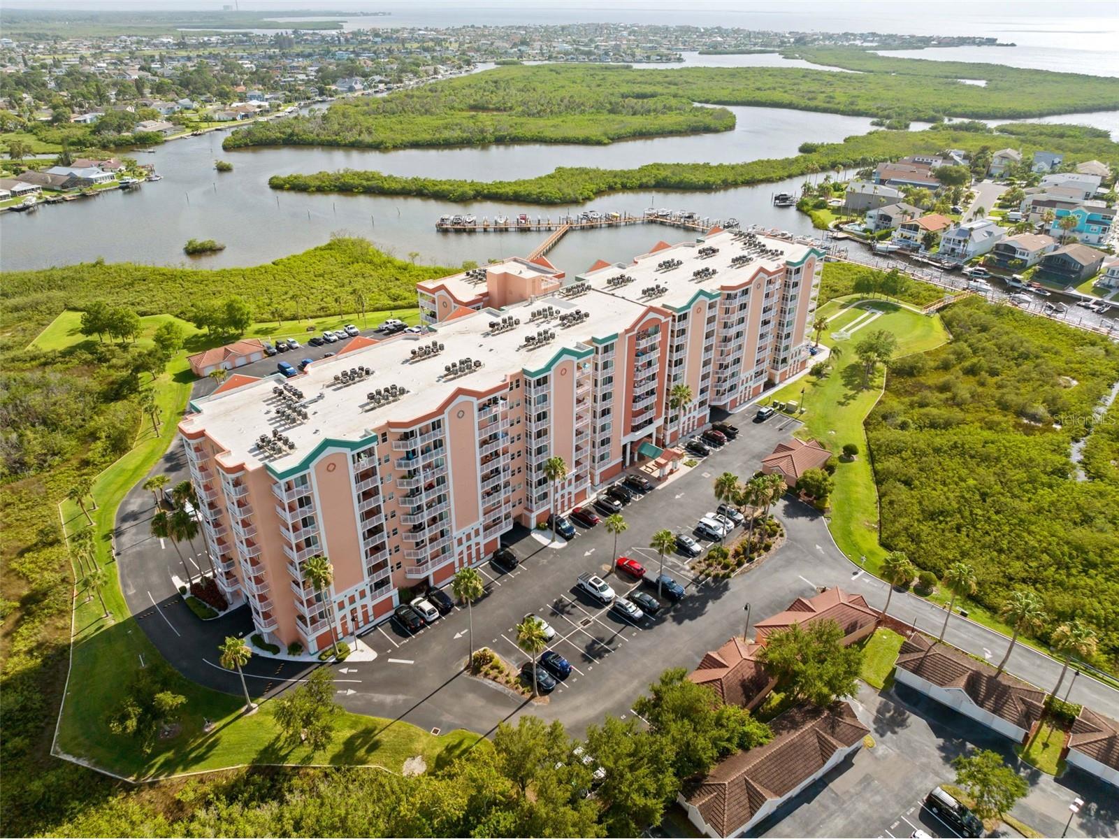 4516 Seagull Drive #419 New Port Richey FL 34652 TB8516458 image3