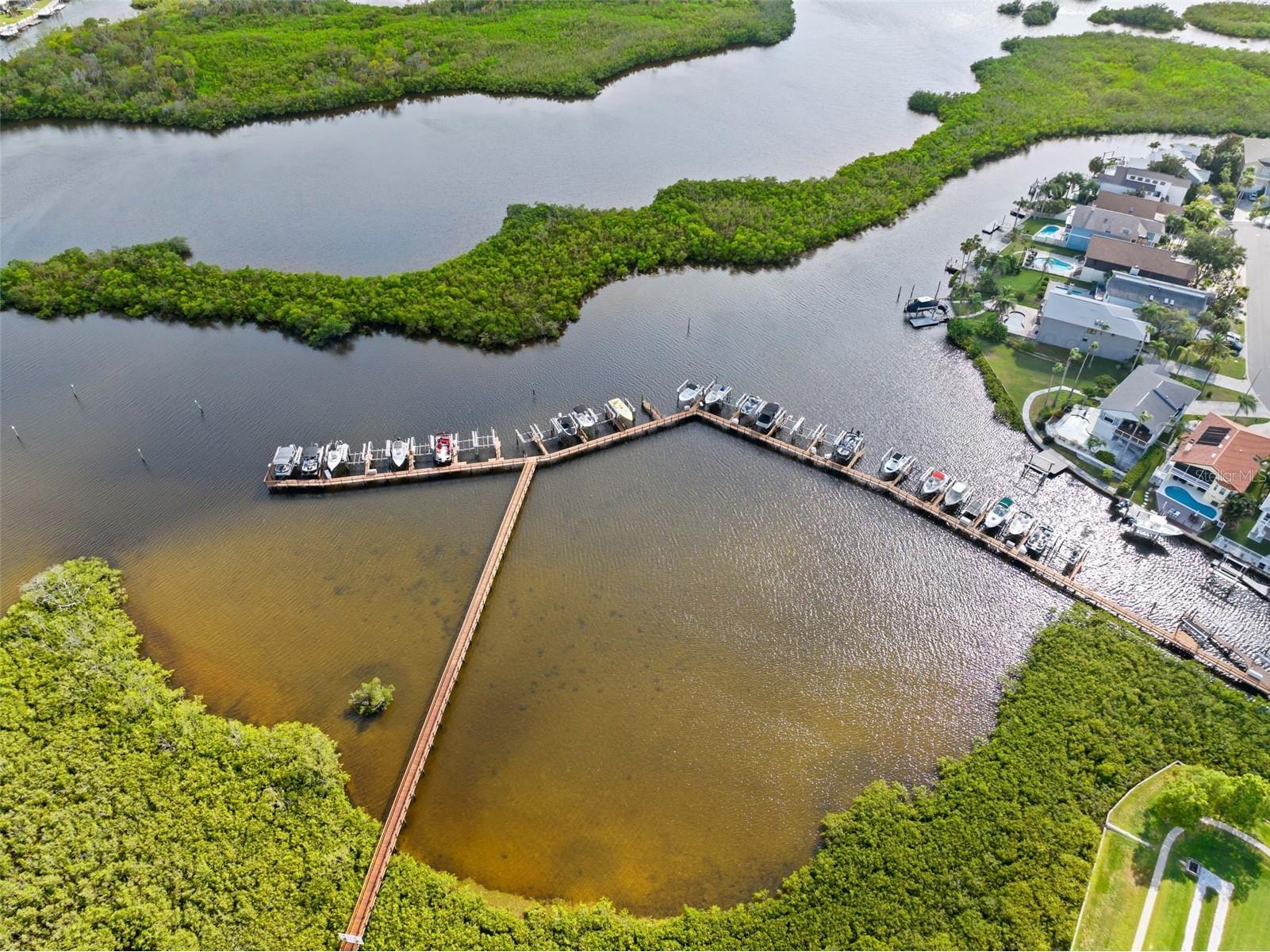 4516 Seagull Drive #419 New Port Richey FL 34652 TB8516458 image40