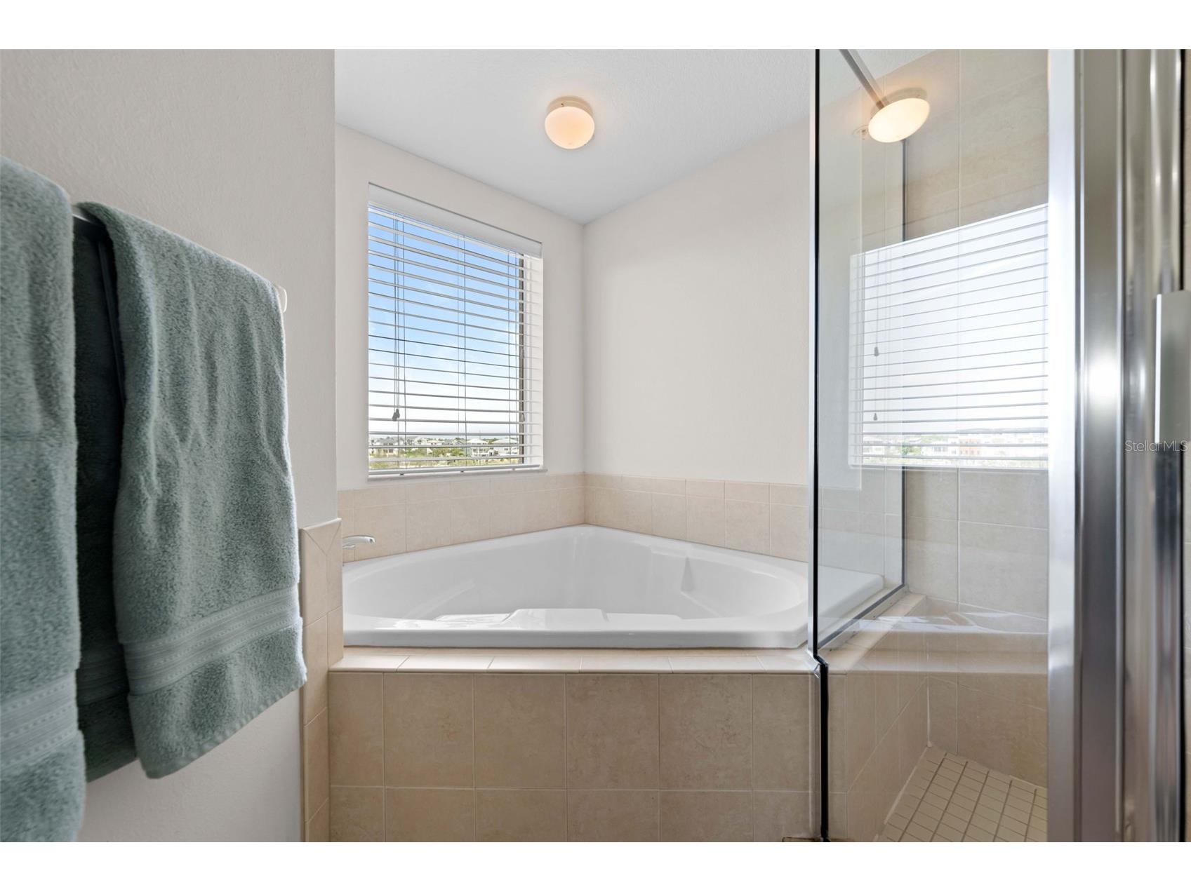 4516 Seagull Drive #419 New Port Richey FL 34652 TB8516458 image48