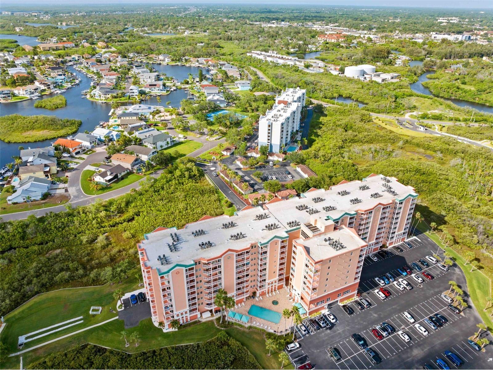 4516 Seagull Drive #419 New Port Richey FL 34652 TB8516458 image49