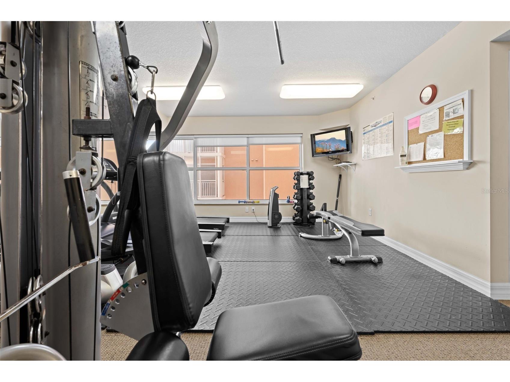 4516 Seagull Drive #419 New Port Richey FL 34652 TB8516458 image70