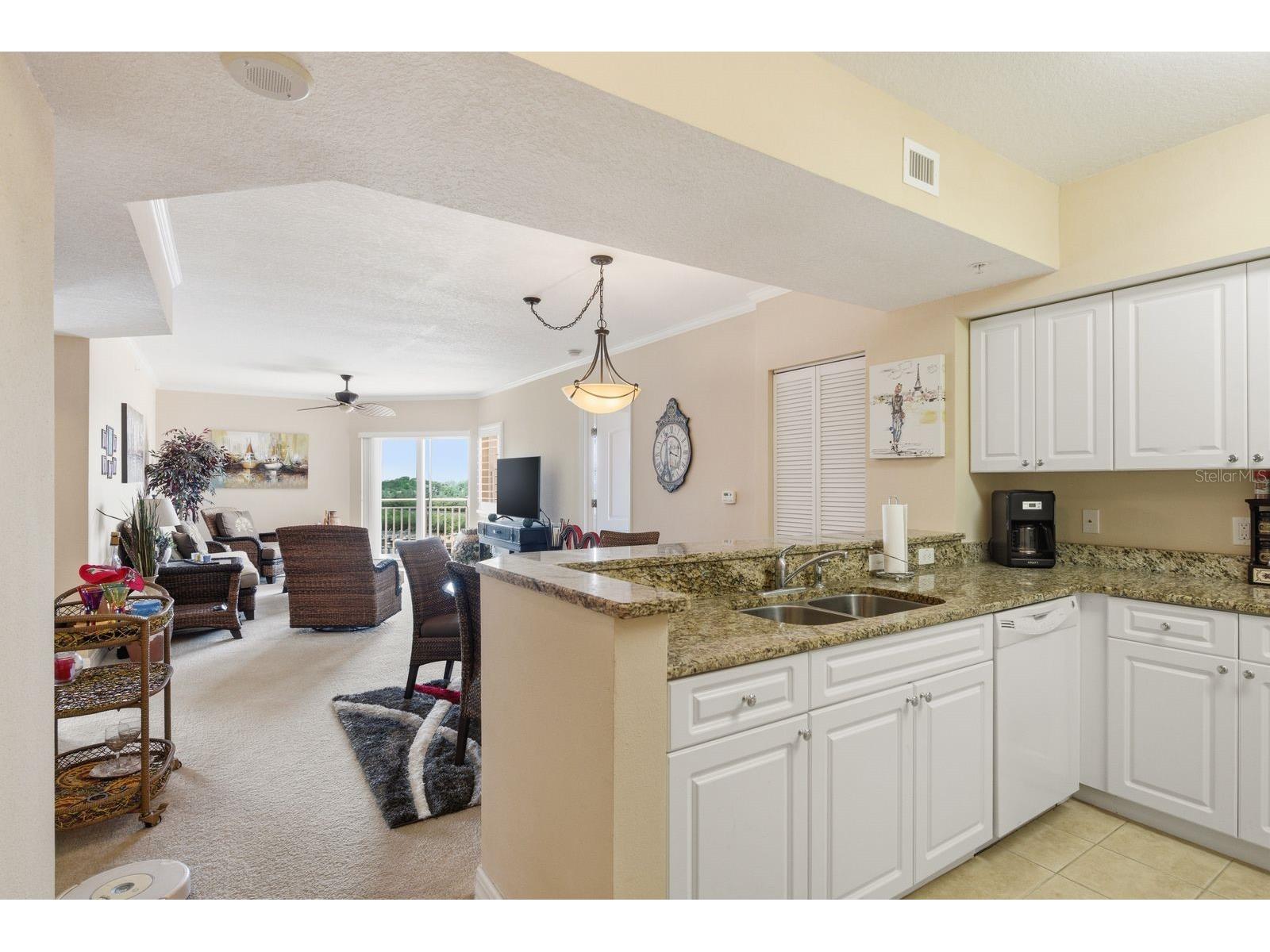 4516 Seagull Drive #502 New Port Richey FL 34652 TB8506995 image12