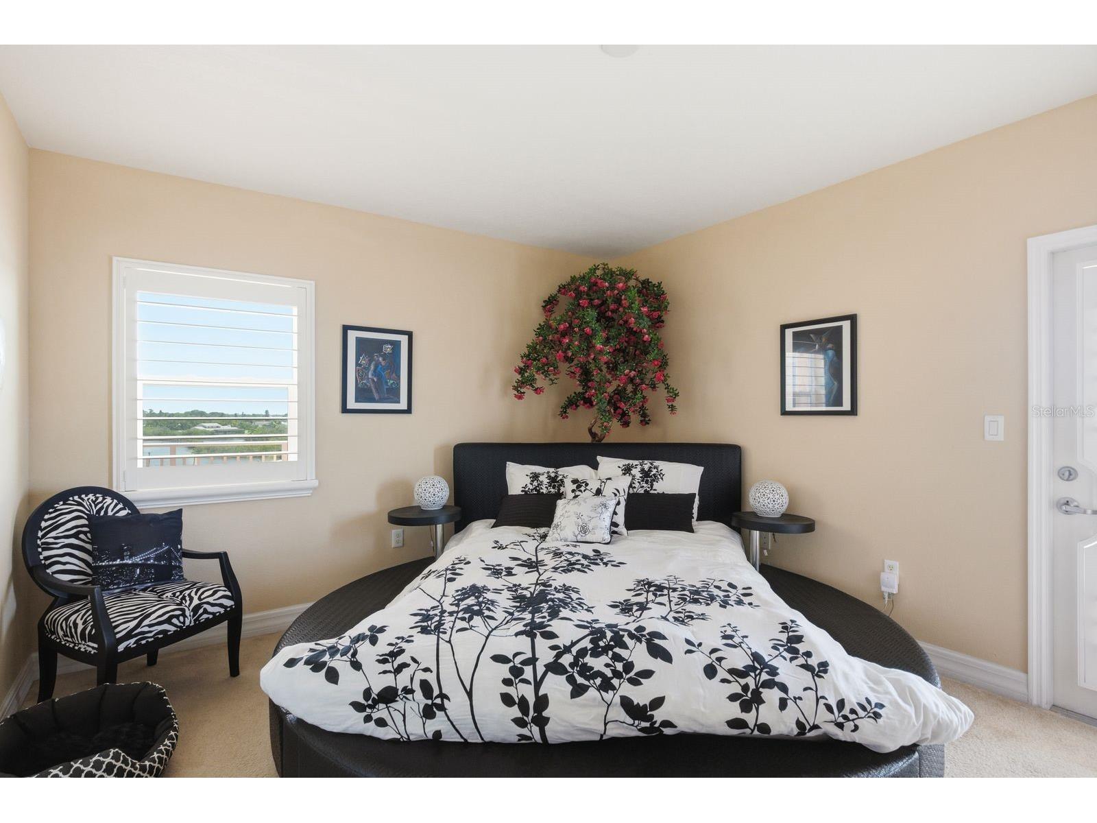 4516 Seagull Drive #502 New Port Richey FL 34652 TB8506995 image18