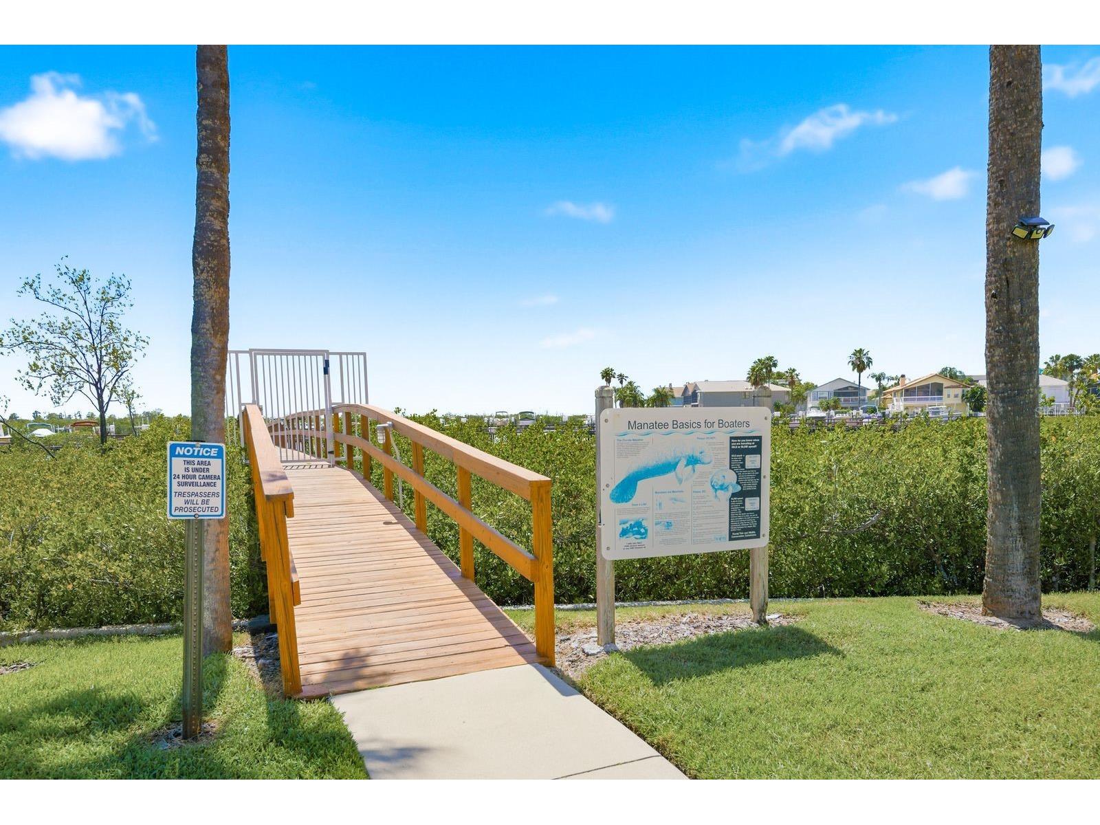 4516 Seagull Drive #502 New Port Richey FL 34652 TB8506995 image29
