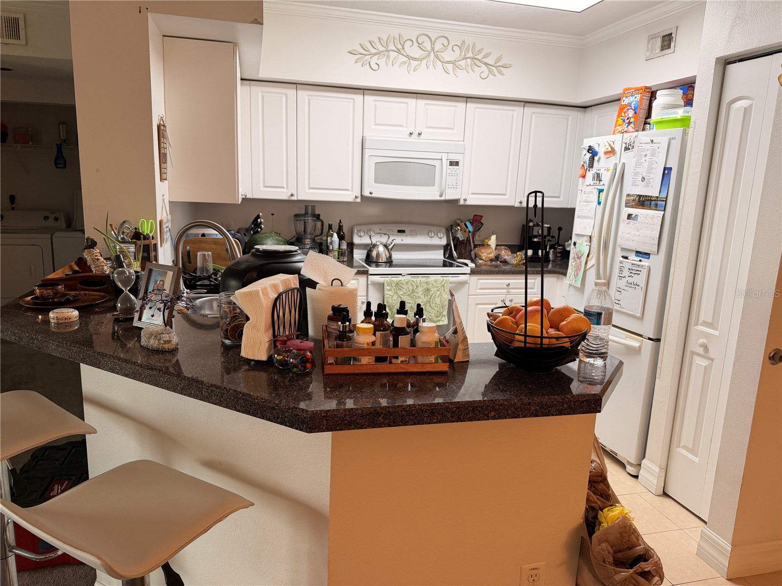 4516 Seagull Drive #515 New Port Richey FL 34652 A4699374 image17