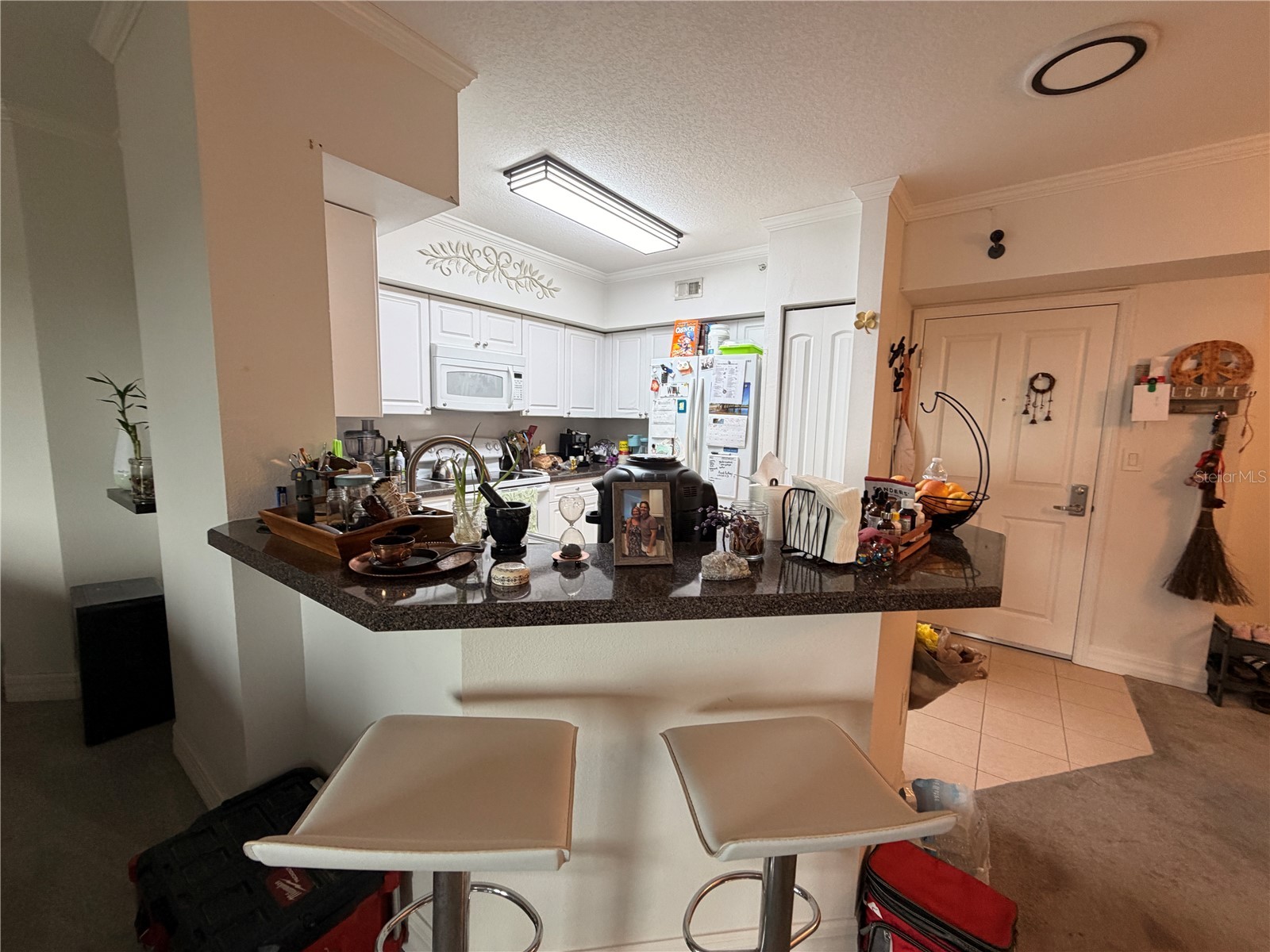 4516 Seagull Drive #515 New Port Richey FL 34652 A4699374 image35