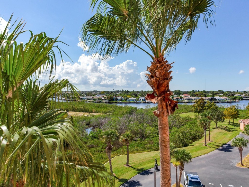 4516 Seagull Drive #520 New Port Richey FL 34652 TB8431775 image32