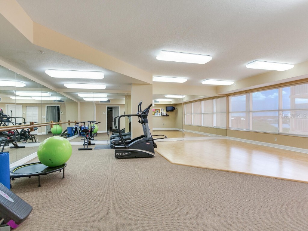 4516 Seagull Drive #520 New Port Richey FL 34652 TB8431775 image45