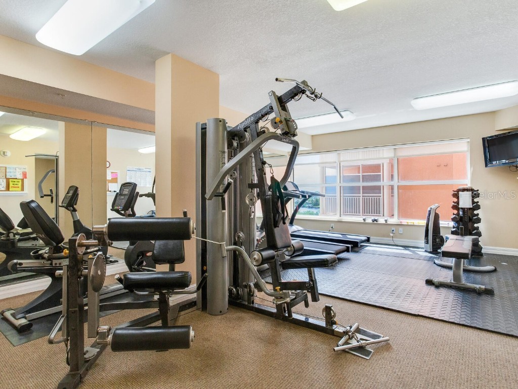 4516 Seagull Drive #520 New Port Richey FL 34652 TB8431775 image47