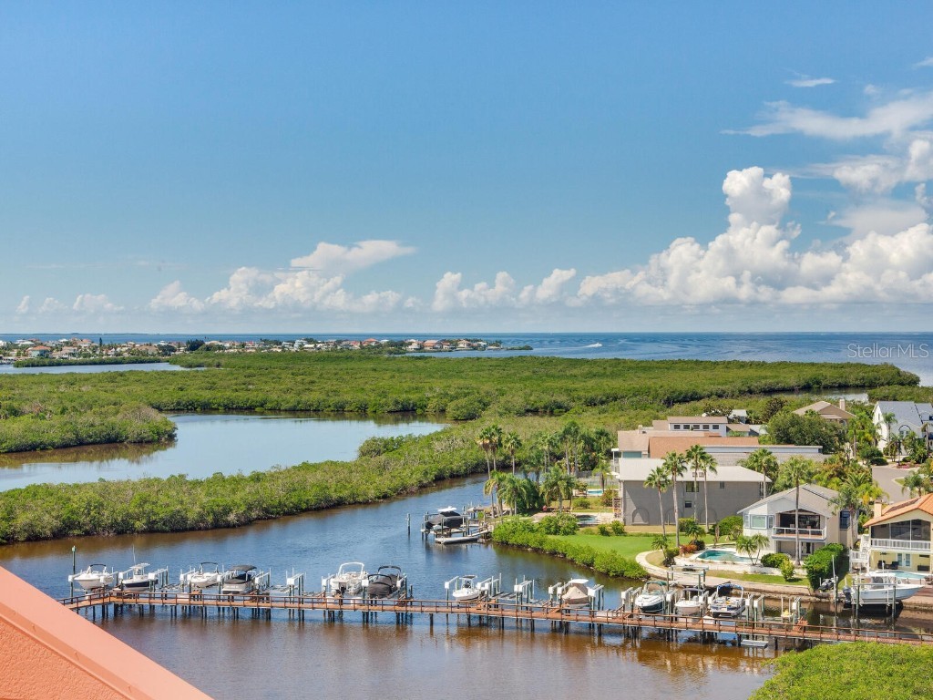 4516 Seagull Drive #520 New Port Richey FL 34652 TB8431775 image64