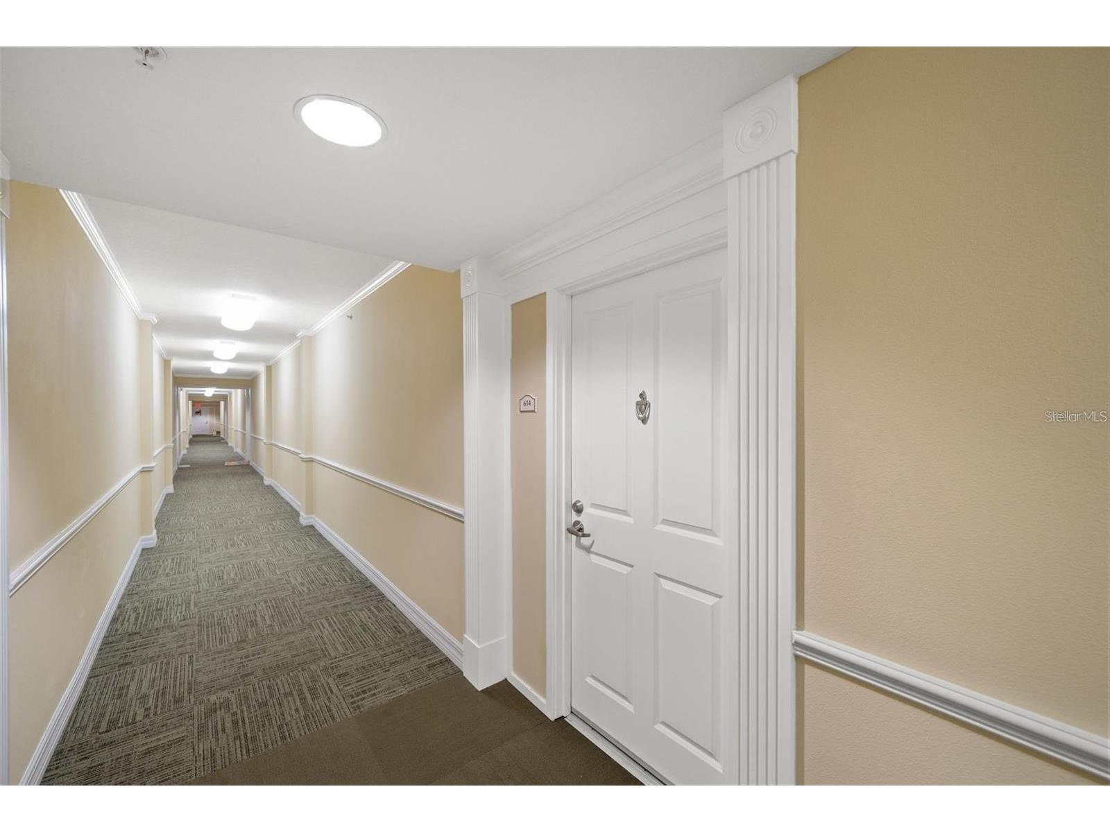 4516 Seagull Drive #614 New Port Richey FL 34652 TB8463915 image5