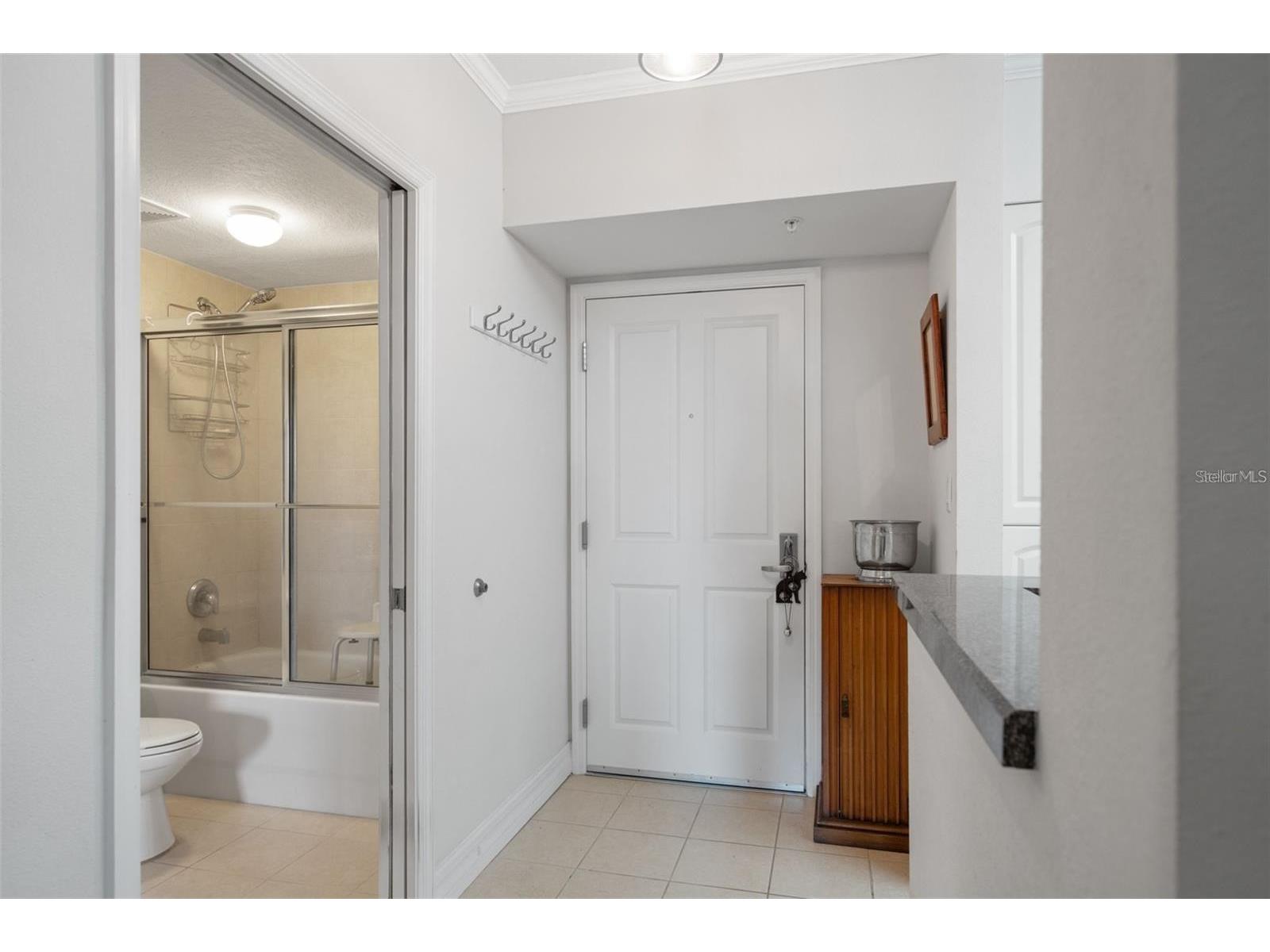 4516 Seagull Drive #614 New Port Richey FL 34652 TB8463915 image6