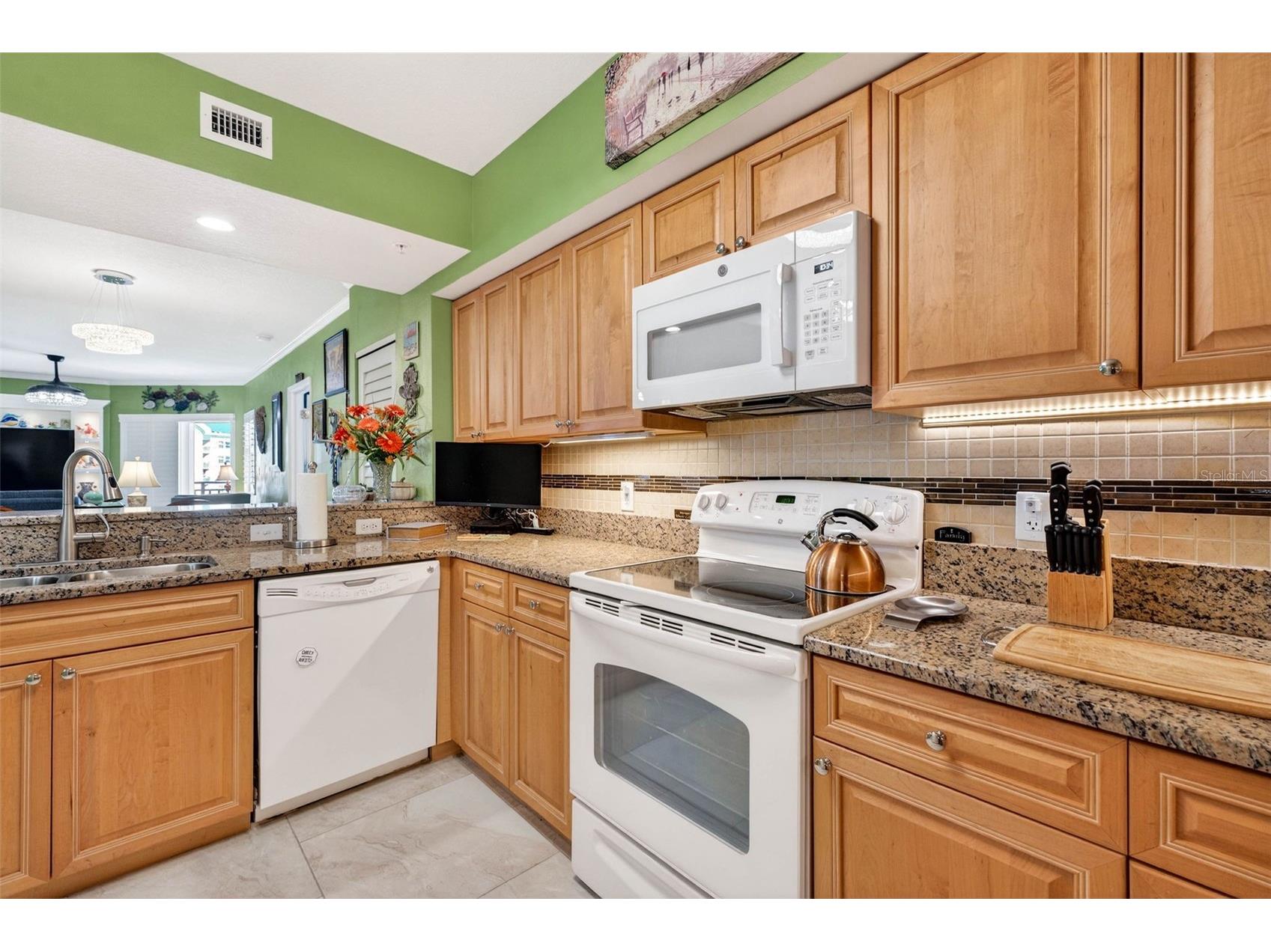 4516 Seagull Drive #719 New Port Richey FL 34652 W7882905 image12