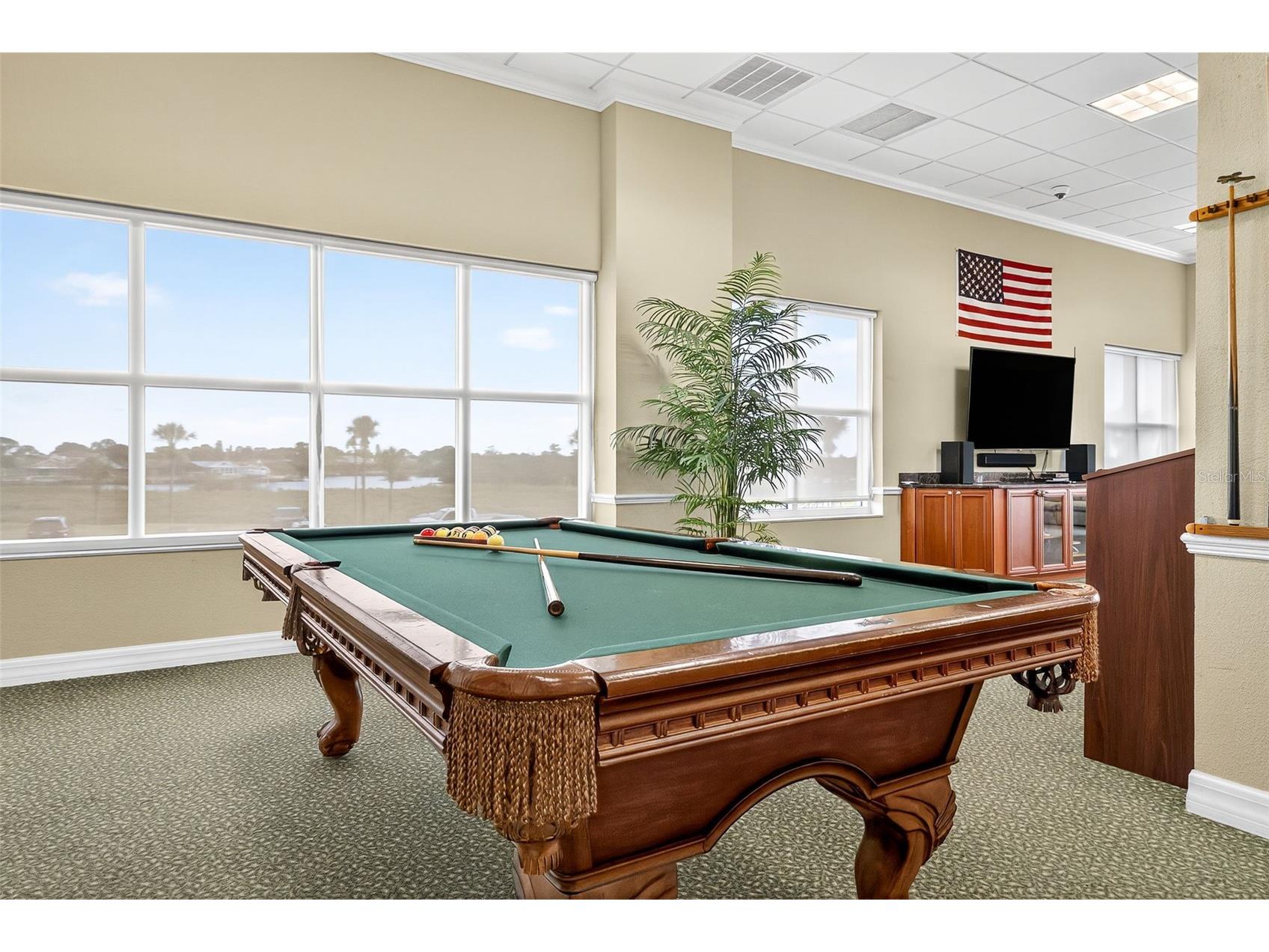 4516 Seagull Drive #719 New Port Richey FL 34652 W7882905 image51