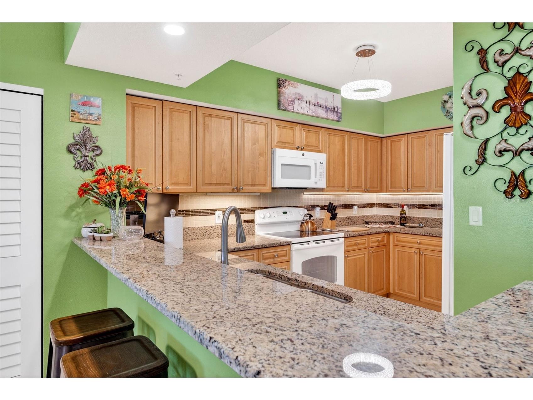 4516 Seagull Drive #719 New Port Richey FL 34652 W7882905 image7