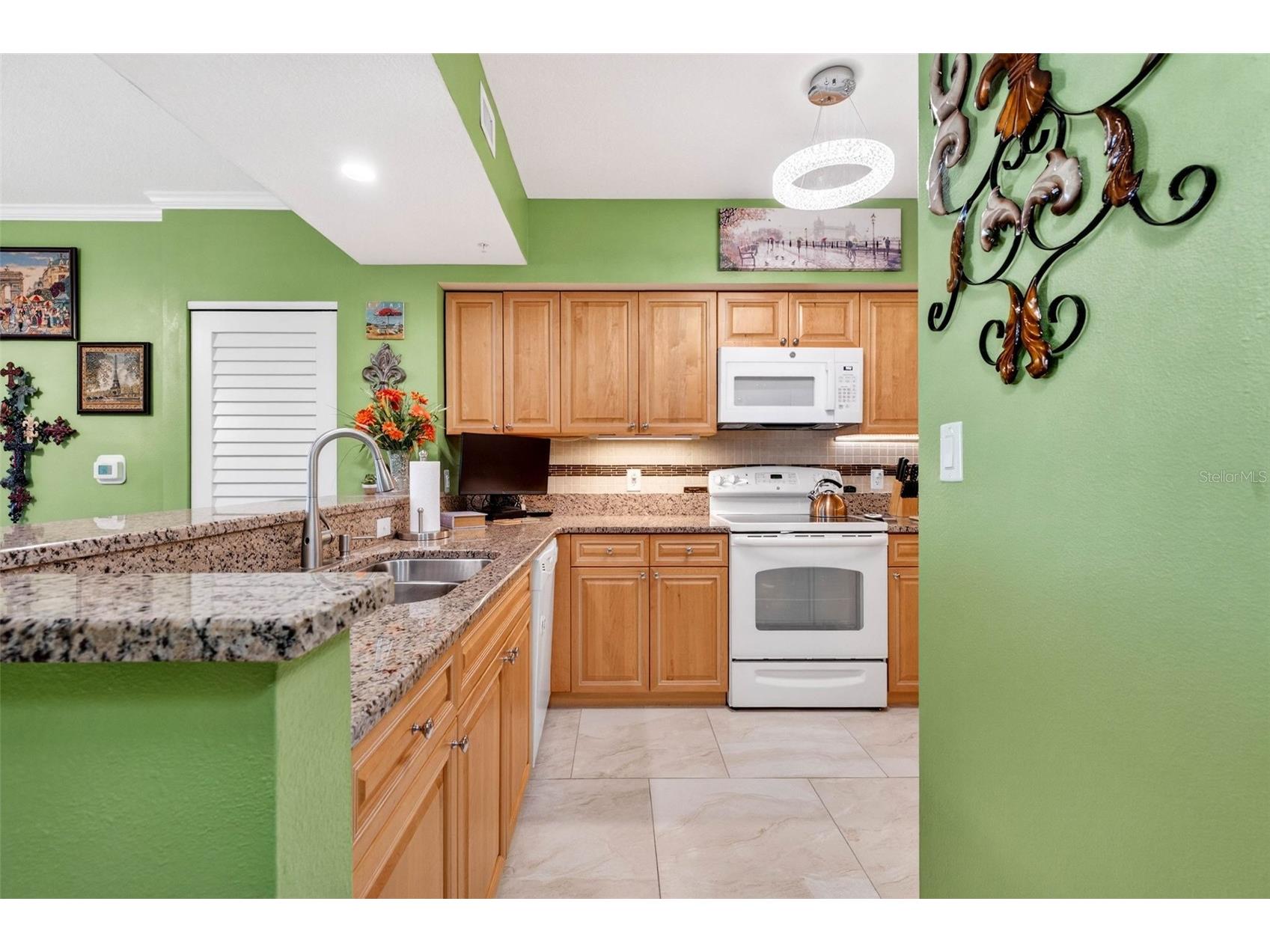 4516 Seagull Drive #719 New Port Richey FL 34652 W7882905 image8