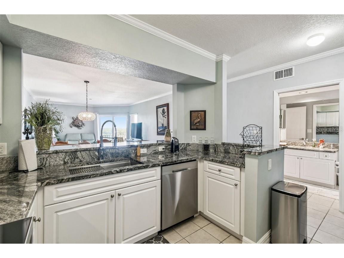 4516 Seagull Drive #807 New Port Richey FL 34652 TB8446023 image12