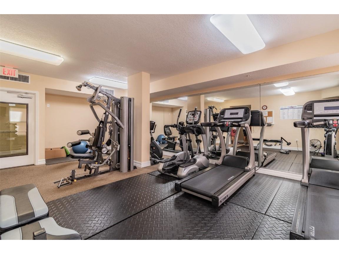 4516 Seagull Drive #807 New Port Richey FL 34652 TB8446023 image49