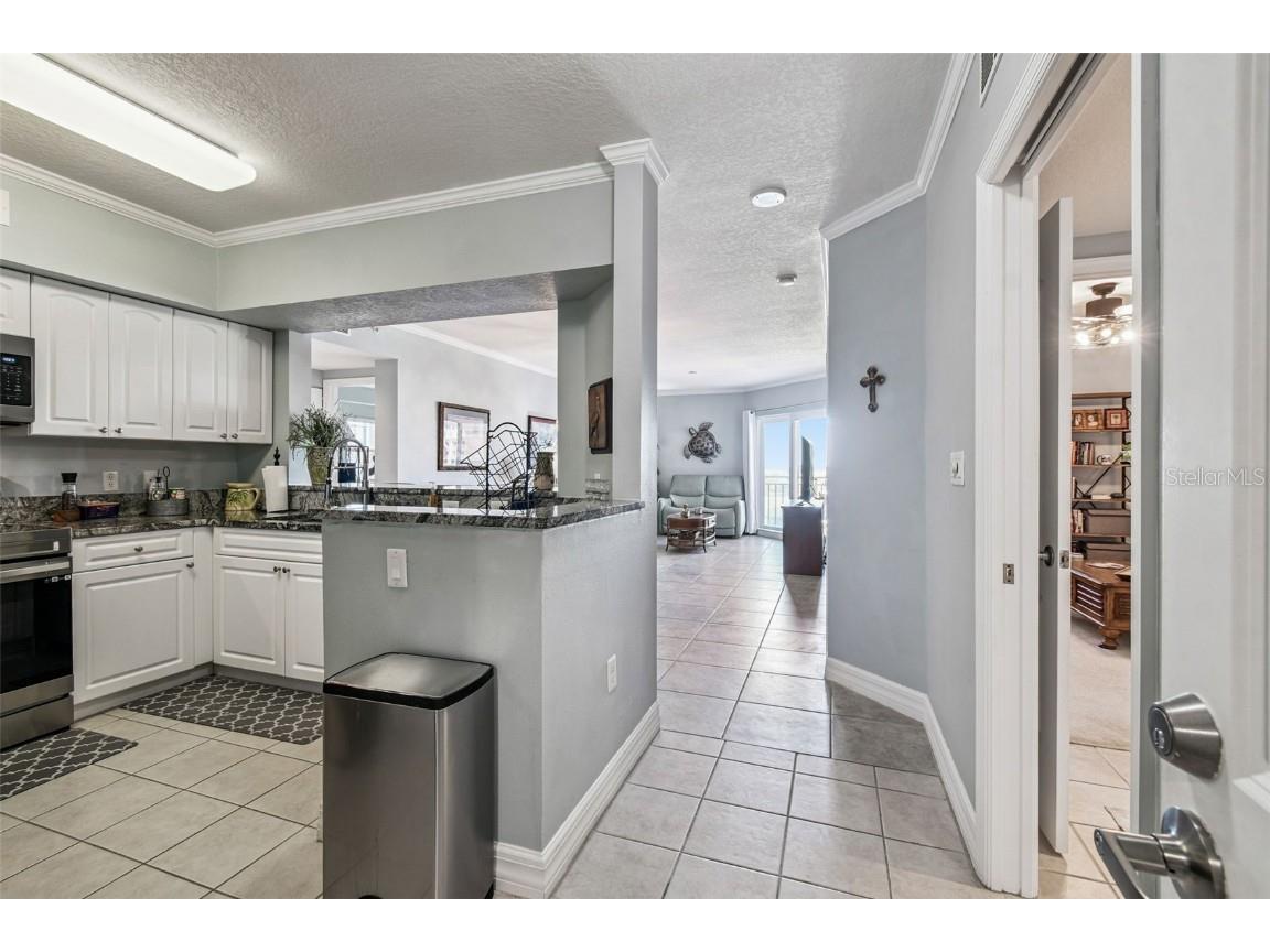 4516 Seagull Drive #807 New Port Richey FL 34652 TB8446023 image5