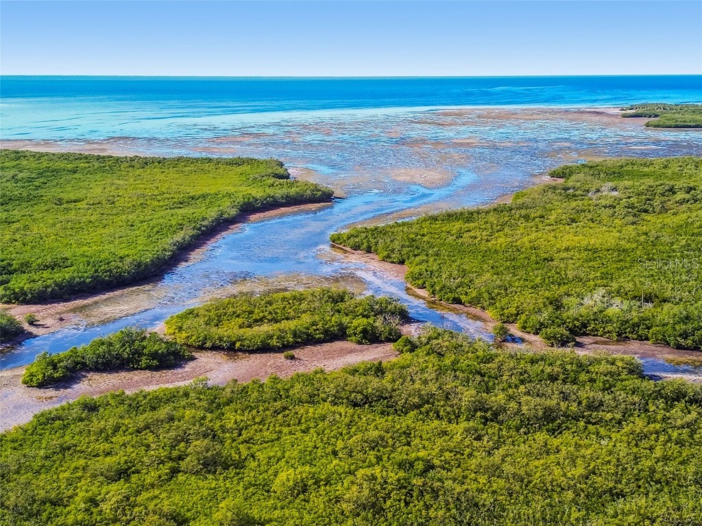 4516 Seagull Drive #807 New Port Richey FL 34652 TB8446023 image75